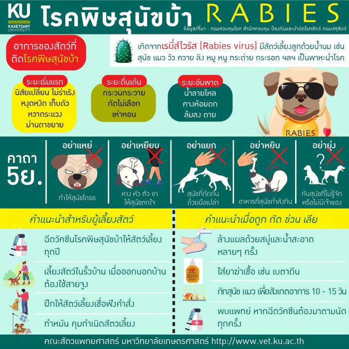 เรื่องน่ารู้เกี่ยวกับโรคพิษสุนัขบ้า